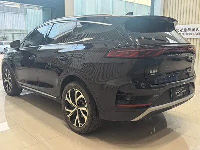 2025 BYD Tang New Energy Smart Driving Edition DM-i 115KM Flagship, фото 4, лот 11187485