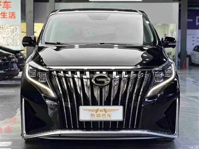 2021 GAC Trumpchi Trumpchi M8 Master Series 390T 4-Seat Glory Edition, фото 2, лот 10415681