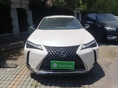 2020 Lexus UX 260h Explore Enjoy Edition, фото 3, лот 10320224