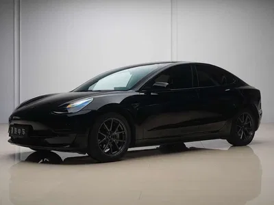 2022 Tesla Model 3 Model Rear-Wheel Drive Version, фото 1, лот 11523560