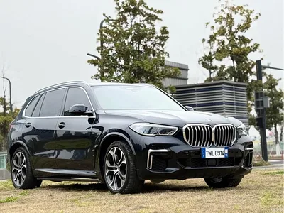 2022 BMW X5 xDrive 40Li Premium M Sport Package, фото 3, лот 10431584