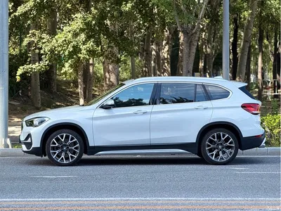 2021 BMW X1 Facelift xDrive25Li Premium, фото 3, лот 10465993