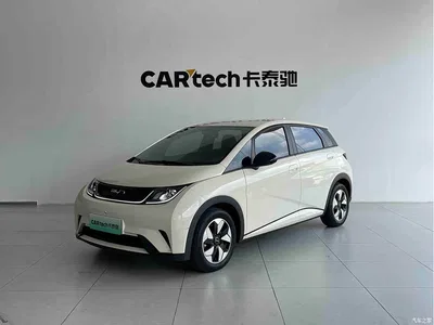 2025 BYD Dolphin 420km Freedom Edition, фото 1, лот 10764795