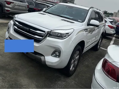 2020 Haval H9 2.0T Gasoline 4WD Luxury 7-Seater, фото 3, лот 11220650