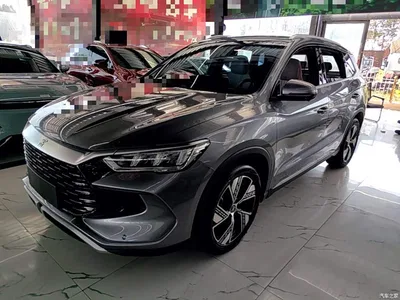 2023 BYD Song Pro New Energy Champion Edition DM-i 110KM Excellence, фото 1, лот 10272730