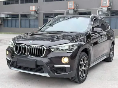 2018 BMW X1 xDrive20Li Premium Model, фото 1, лот 10467527