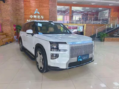 2025 ZEEKR 9X Model Standard, фото 3, лот 11248589