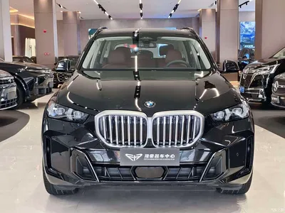 2026 BMW X5 xDrive 30Li Luxury M Sport Night Edition Package, фото 2, лот 10462710