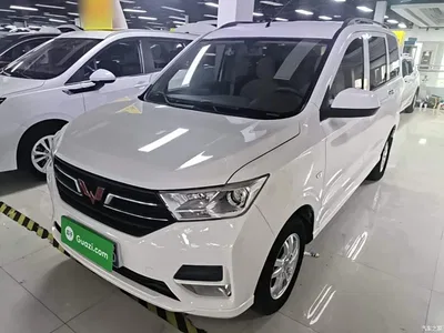 2019 Wuling Motors Wuling Hongguang 1.5L S Standard China VI LAR, фото 1, лот 10453511