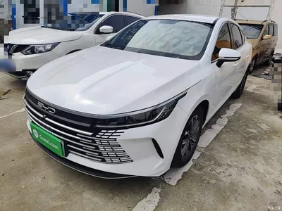 2024 BYD Destroyer 05 Glory Edition DM-i 55KM Luxury, фото 2, лот 11081458