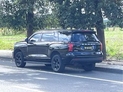 2025 Haval H5 2.0T Auto 4WD Navigation Edition (Diesel), фото 4, лот 10300967