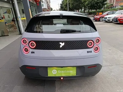 2025 Firefly Firefly Luminescent Edition, фото 4, лот 10362064