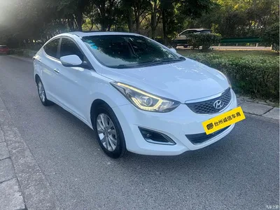2016 Hyundai Langdong 1.6L Manual Premium Edition, фото 3, лот 10832000