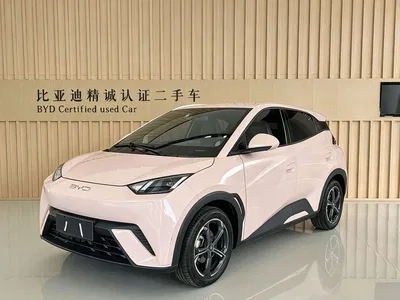 2023 BYD Seagull Flying Edition, фото 1, лот 10587233