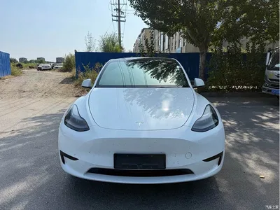 2024 Tesla Model Y Rear-Wheel Drive Version, фото 2, лот 10671160