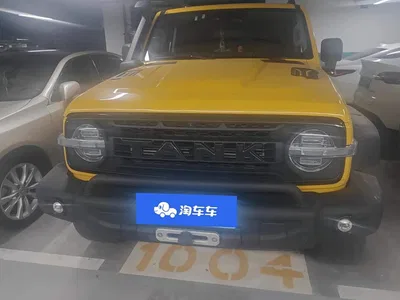 2022 Tank 300 2.0T Border Limited Edition, фото 2, лот 11104521