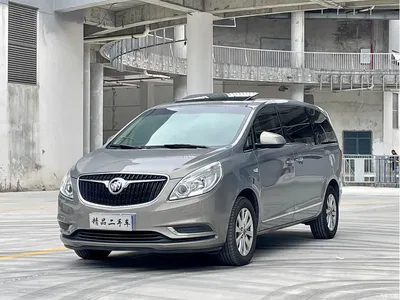 2018 Buick GL8 28T Luxury Model China VI, фото 1, лот 10252791