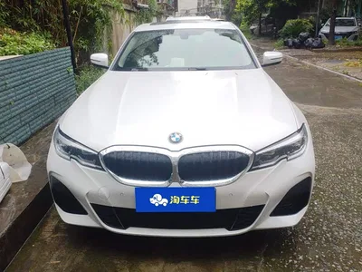 2021 BMW 3 Series Facelift 320Li M Sport Package, фото 2, лот 10838237