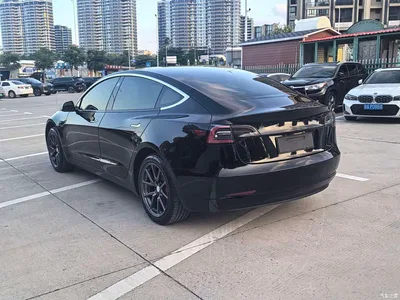 2020 Tesla Model 3 Standard Range Rear-Wheel Drive Upgrade, фото 4, лот 10888909