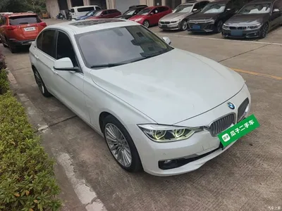 2018 BMW 3 Series 320Li Fashion Style, фото 4, лот 10955300