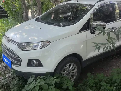 2017 Ford EcoSport 1.5L Manual Trend, фото 2, лот 10404823