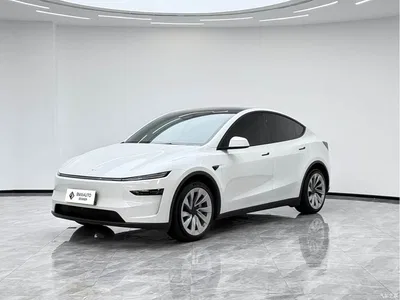 2025 Tesla Model Y Rear-Wheel Drive, фото 1, лот 11074358