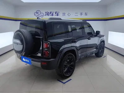 2024 Haval Meng Long NEV Hi4 102 Pro, фото 3, лот 10298038