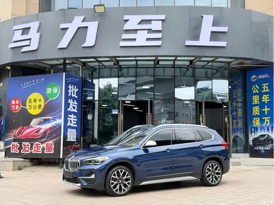2021 BMW X1 xDrive25Li Exclusive, фото 1, лот 10812283