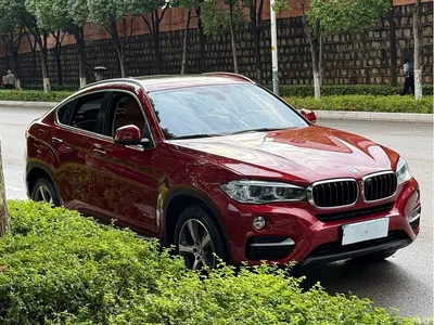 2015 BMW X6 xDrive35i Leading Type, фото 3, лот 10469253
