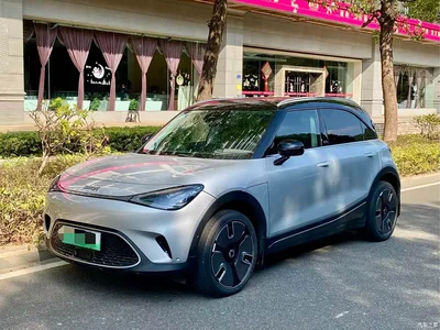 2022 smart Elf #1 Premium Edition, фото 1, лот 10343088