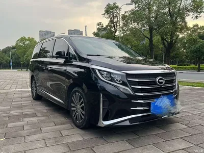 2021 GAC Trumpchi Trumpchi M8 Leading Show Series 390T Ultimate Edition, фото 3, лот 11097809