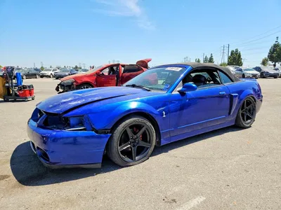 2003 FORD MUSTANG COBRA SVT, фото 1, лот 10983830