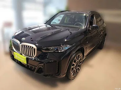 2025 BMW X5 Model xDrive 40Li M Sport Blackout Package, фото 1, лот 10463317