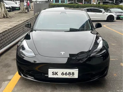2022 Tesla Model 3 Model Rear-Wheel Drive Version, фото 2, лот 10450266