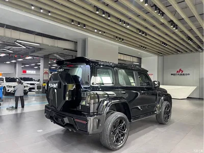 2023 Tank 300 Urban Edition 2.0T Very Stylish, фото 4, лот 10808173