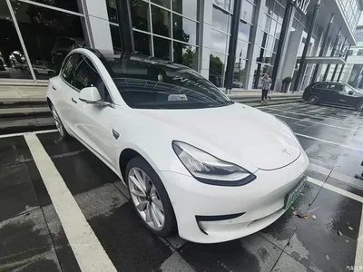 2019 Tesla Model 3 Standard Range Rear-Wheel Drive Upgrade, фото 2, лот 10357037