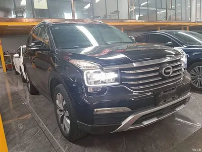 2017 GAC Trumpchi Trumpchi GS8 320T 2WD Luxury Smart Connect (7-seater), фото 4, лот 11187613