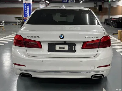 2019 BMW 5 Series New Energy 530Le Luxury Package, фото 4, лот 10448160