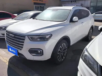 2020 Haval H6 2.0GDIT Automatic Platinum Champion Edition, фото 1, лот 10615557