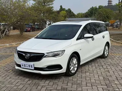 2019 Buick GL6, фото 1, лот 10244342
