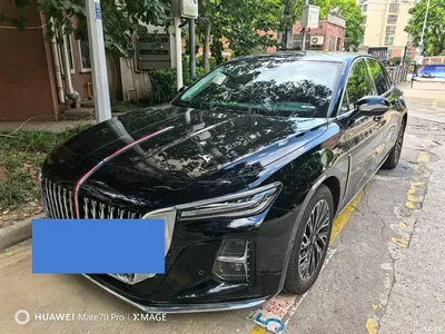 2024 Hongqi H5 2.0T Automatic Smart Connect Flag Smooth Edition, фото 2, лот 10289111