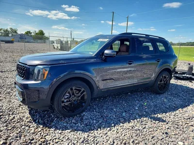 2025 KIA TELLURIDE SX X-LINE, фото 1, лот 10779107
