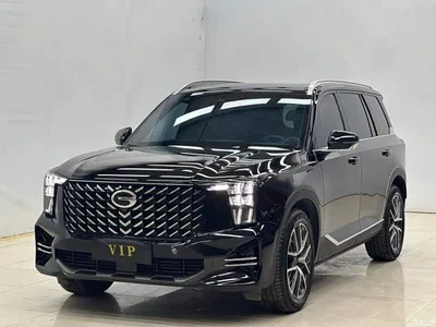 2022 GAC Trumpchi Trumpchi GS8 Pilot Series 2.0TGDI 2WD Luxury Smart Connect Edition (7-Seater), фото 3, лот 11538725
