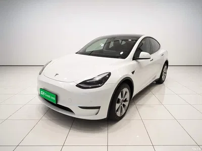 2022 Tesla Model Y Facelift Rear-Wheel Drive Version, фото 1, лот 11512465