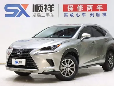 2020 Lexus NX 300h FWD F Sport China VI, фото 1, лот 11249999