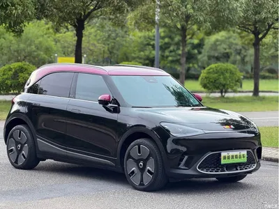 2022 smart Elf #1 Premium Edition, фото 2, лот 10342953