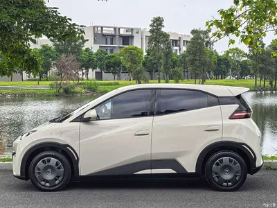 2023 BYD Seagull Vitality Edition, фото 4, лот 11136791