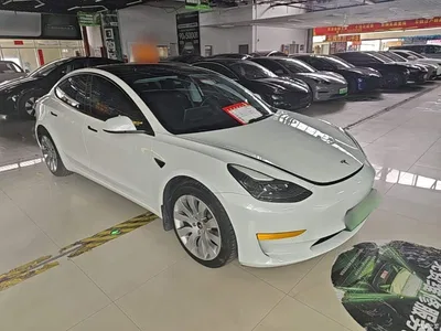 2021 Tesla Model 3 Standard Range Rear-Wheel Drive Upgrade 3D6, фото 4, лот 10370430