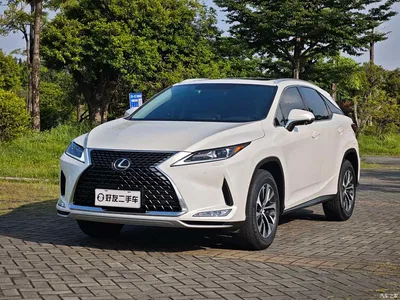 2020 Lexus RX Facelift 300 2WD Elite Edition, фото 1, лот 10769036