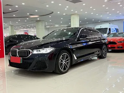 2021 BMW 5 Series New Energy 535Le M Sport Package, фото 1, лот 11194068